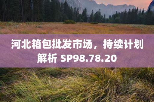 河北箱包批发市场，持续计划解析 SP98.78.20