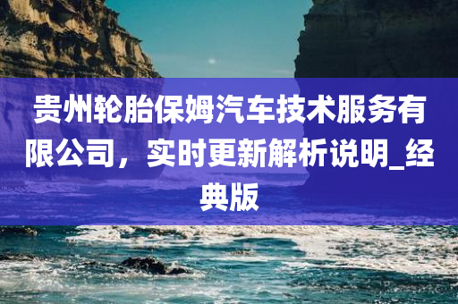 贵州轮胎保姆汽车技术服务有限公司，实时更新解析说明_经典版