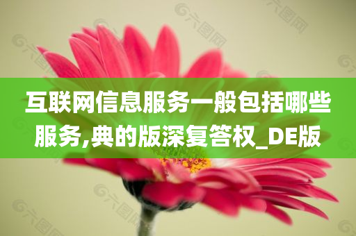 互联网信息服务一般包括哪些服务,典的版深复答权_DE版