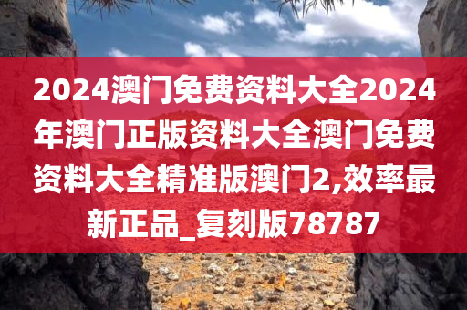 2024澳门免费资料大全2024年澳门正版资料大全澳门免费资料大全精准版澳门2,效率最新正品_复刻版78787