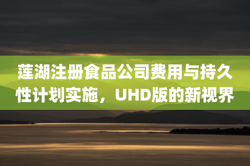 莲湖注册食品公司费用与持久性计划实施，UHD版的新视界