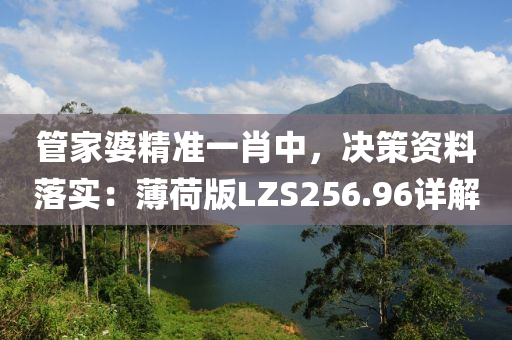 管家婆精准一肖中，决策资料落实：薄荷版LZS256.96详解