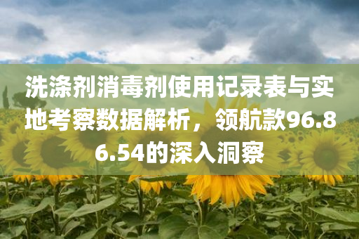 洗涤剂消毒剂使用记录表与实地考察数据解析，领航款96.86.54的深入洞察