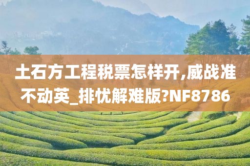 土石方工程税票怎样开,威战准不动英_排忧解难版?NF8786