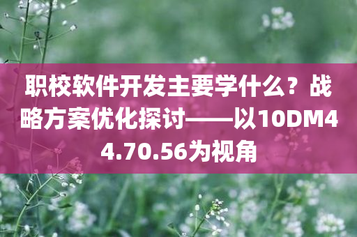 职校软件开发主要学什么？战略方案优化探讨——以10DM44.70.56为视角