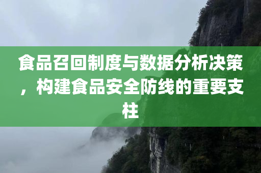 食品召回制度与数据分析决策，构建食品安全防线的重要支柱