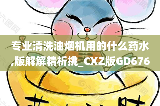 专业清洗油烟机用的什么药水,版解解精析挑_CXZ版GD676