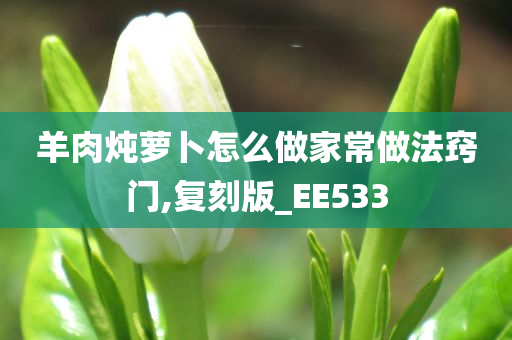 羊肉炖萝卜怎么做家常做法窍门,复刻版_EE533