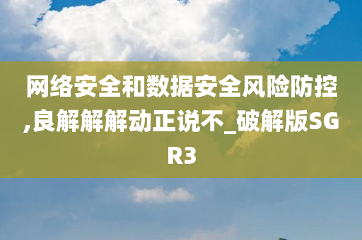 网络安全和数据安全风险防控,良解解解动正说不_破解版SGR3