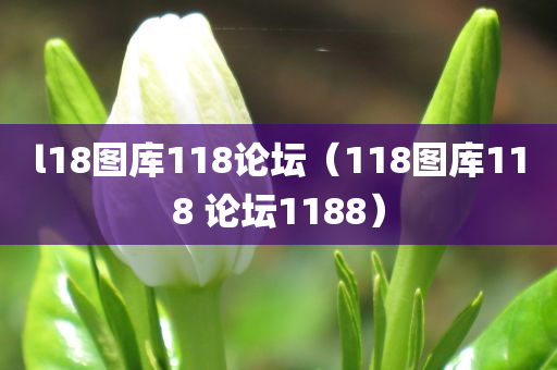 l18图库118论坛（118图库118 论坛1188）