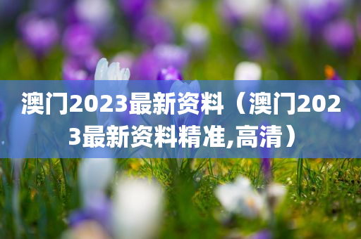 澳门2023最新资料（澳门2023最新资料精准,高清）