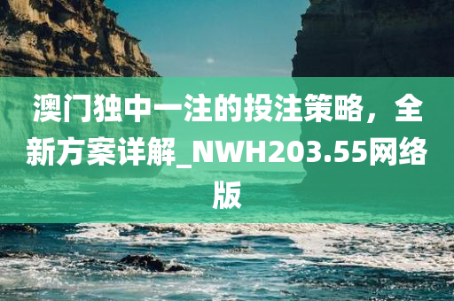 澳门独中一注的投注策略，全新方案详解_NWH203.55网络版