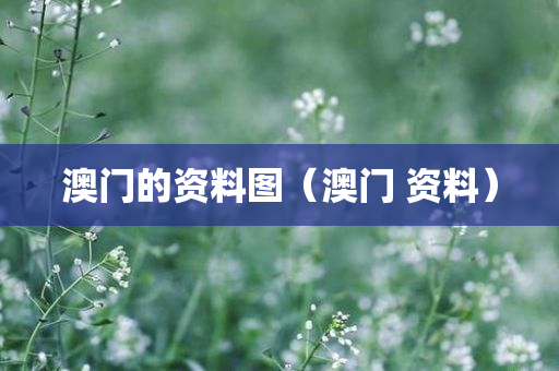 澳门的资料图（澳门 资料）