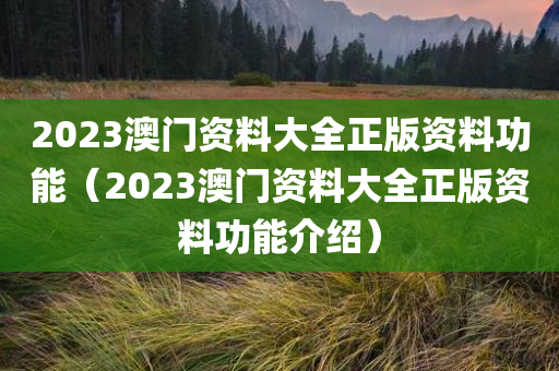 2023澳门资料大全正版资料功能（2023澳门资料大全正版资料功能介绍）