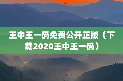 王中王一码免费公开正版（下载2020王中王一码）