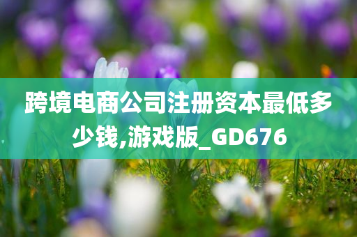 跨境电商公司注册资本最低多少钱,游戏版_GD676