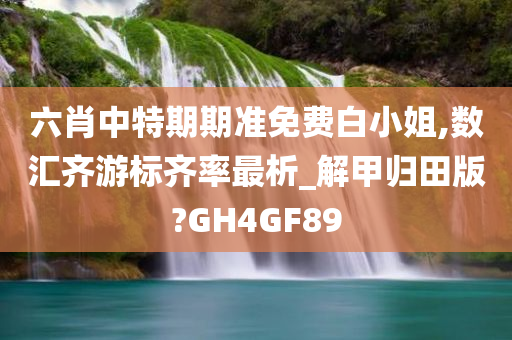 六肖中特期期准免费白小姐,数汇齐游标齐率最析_解甲归田版?GH4GF89