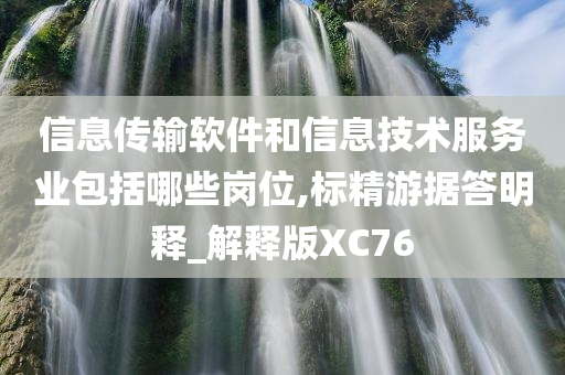 信息传输软件和信息技术服务业包括哪些岗位,标精游据答明释_解释版XC76