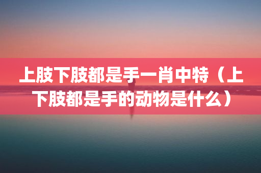 上肢下肢都是手一肖中特（上下肢都是手的动物是什么）