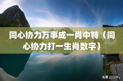 同心协力万事成一肖中特（同心协力打一生肖数字）