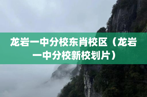 龙岩一中分校东肖校区（龙岩一中分校新校划片）