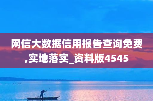 网信大数据信用报告查询免费,实地落实_资料版4545