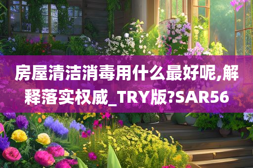 房屋清洁消毒用什么最好呢,解释落实权威_TRY版?SAR56