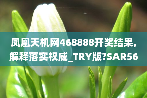 凤凰天机网468888开奖结果,解释落实权威_TRY版?SAR56