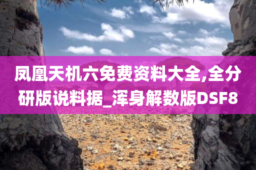 凤凰天机六免费资料大全,全分研版说料据_浑身解数版DSF8