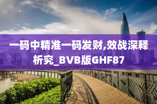 一码中精准一码发财,效战深释析究_BVB版GHF87