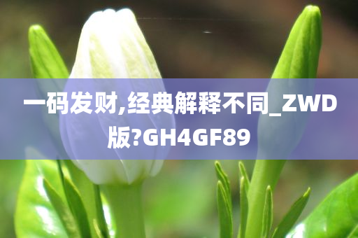 一码发财,经典解释不同_ZWD版?GH4GF89