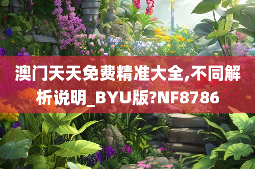 澳门天天免费精准大全,不同解析说明_BYU版?NF8786