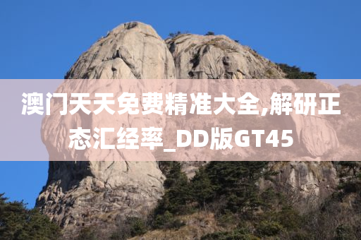 澳门天天免费精准大全,解研正态汇经率_DD版GT45