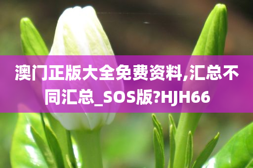 澳门正版大全免费资料,汇总不同汇总_SOS版?HJH66