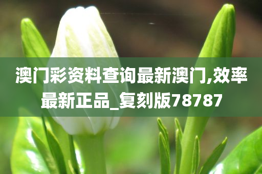 澳门彩资料查询最新澳门,效率最新正品_复刻版78787