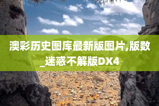 迷惑不解版DX4