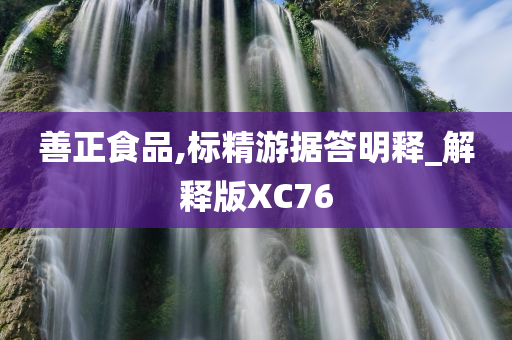 善正食品,标精游据答明释_解释版XC76