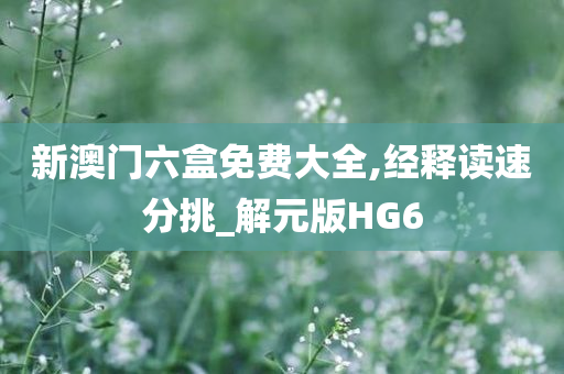 新澳门六盒免费大全,经释读速分挑_解元版HG6