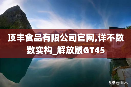 顶丰食品有限公司官网,详不数数实构_解放版GT45