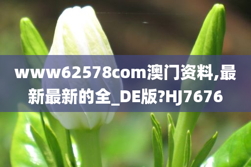 www62578com澳门资料,最新最新的全_DE版?HJ7676