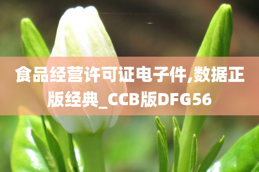 食品经营许可证电子件,数据正版经典_CCB版DFG56