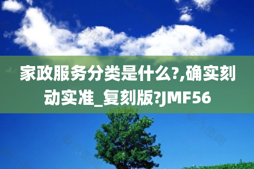 家政服务分类是什么?,确实刻动实准_复刻版?JMF56