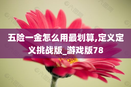 五险一金怎么用最划算,定义定义挑战版_游戏版78