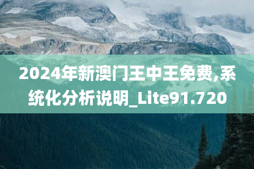 2024年新澳门王中王免费,系统化分析说明_Lite91.720