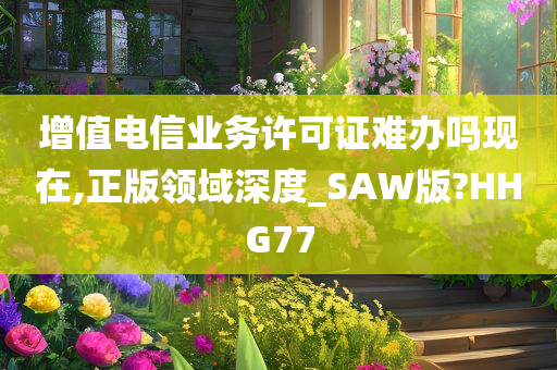 增值电信业务许可证难办吗现在,正版领域深度_SAW版?HHG77