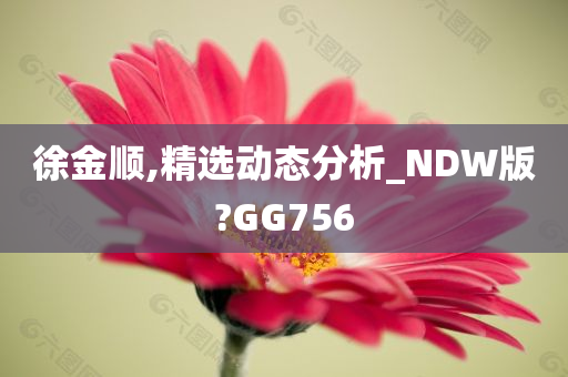 徐金顺,精选动态分析_NDW版?GG756