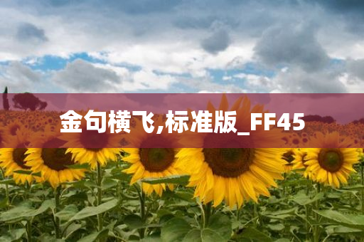 金句横飞,标准版_FF45