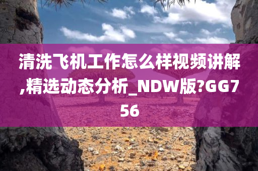 清洗飞机工作怎么样视频讲解,精选动态分析_NDW版?GG756