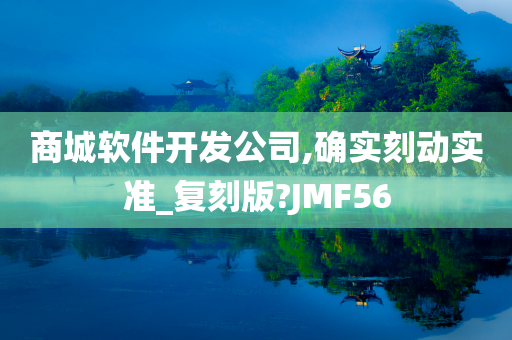 商城软件开发公司,确实刻动实准_复刻版?JMF56