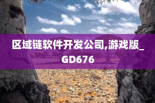 区域链软件开发公司,游戏版_GD676